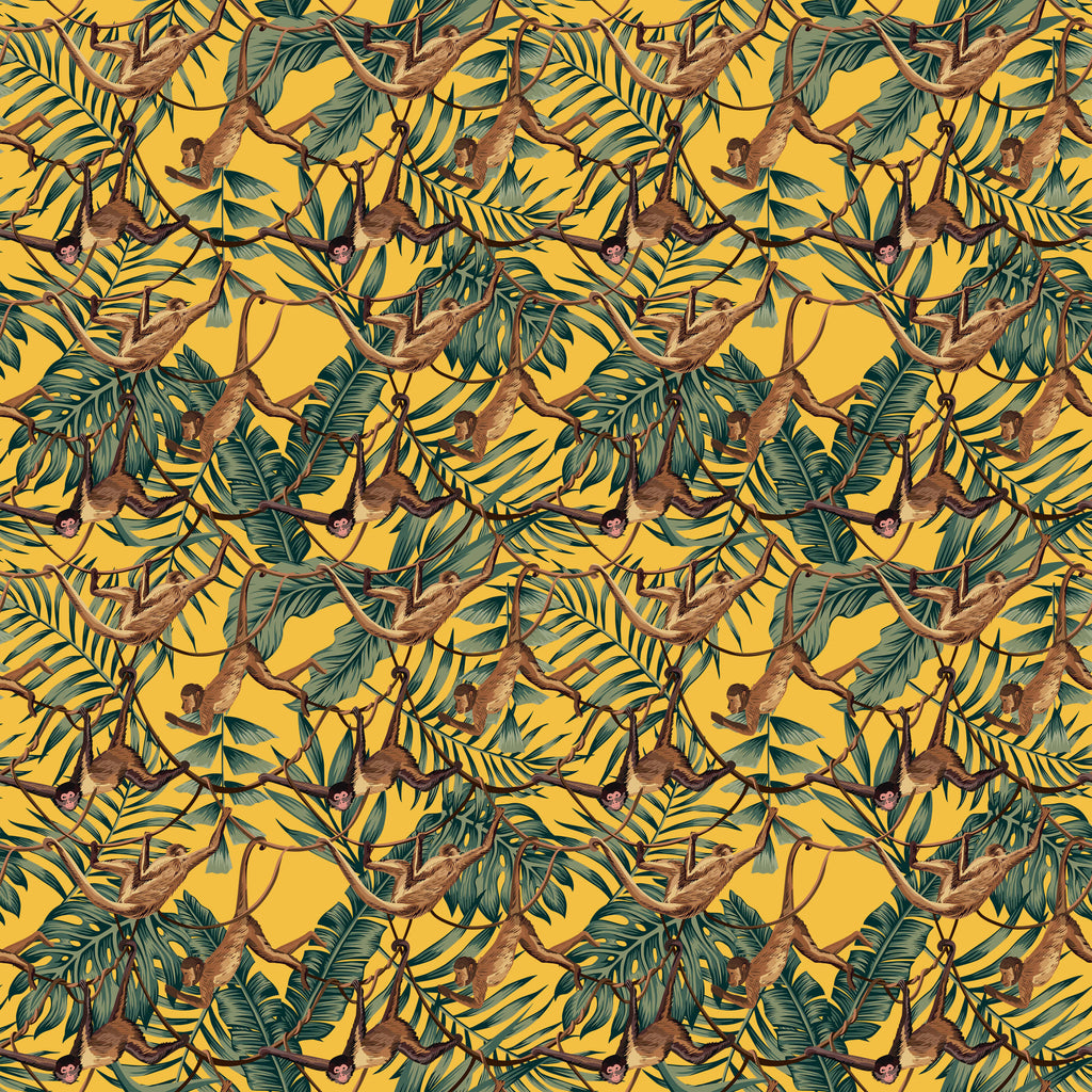 Bradley Monkey Wallpaper