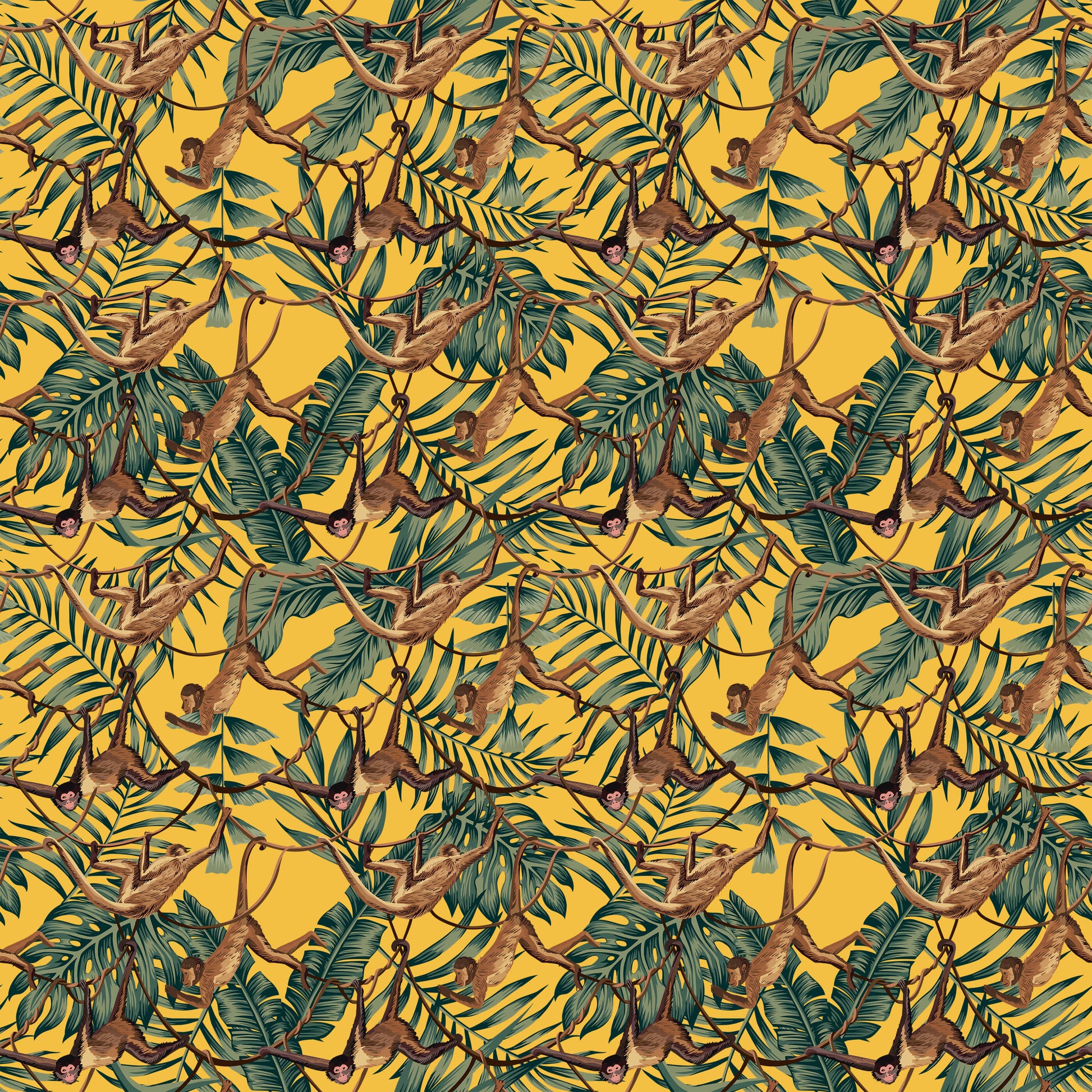 Bradley Monkey Wallpaper