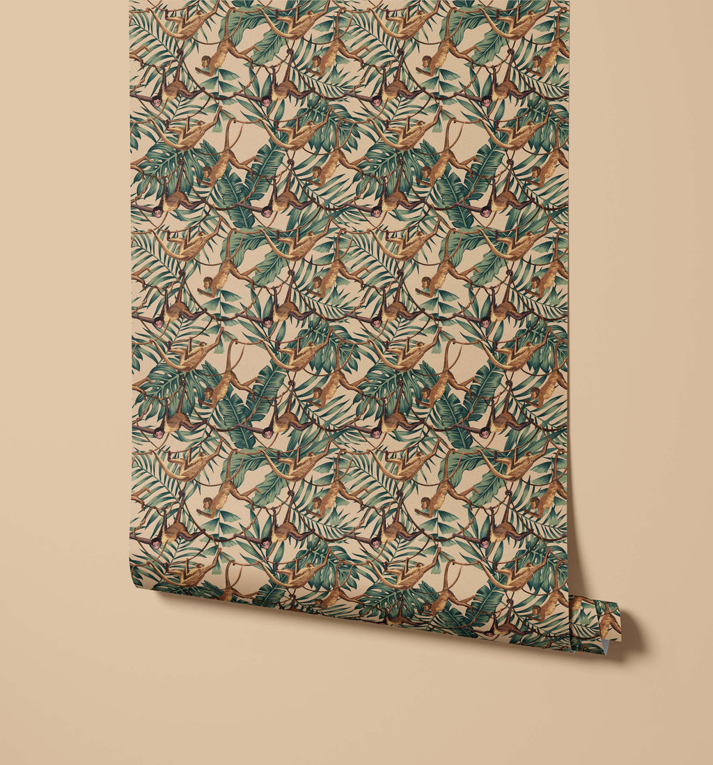 Bradley Monkey Wallpaper