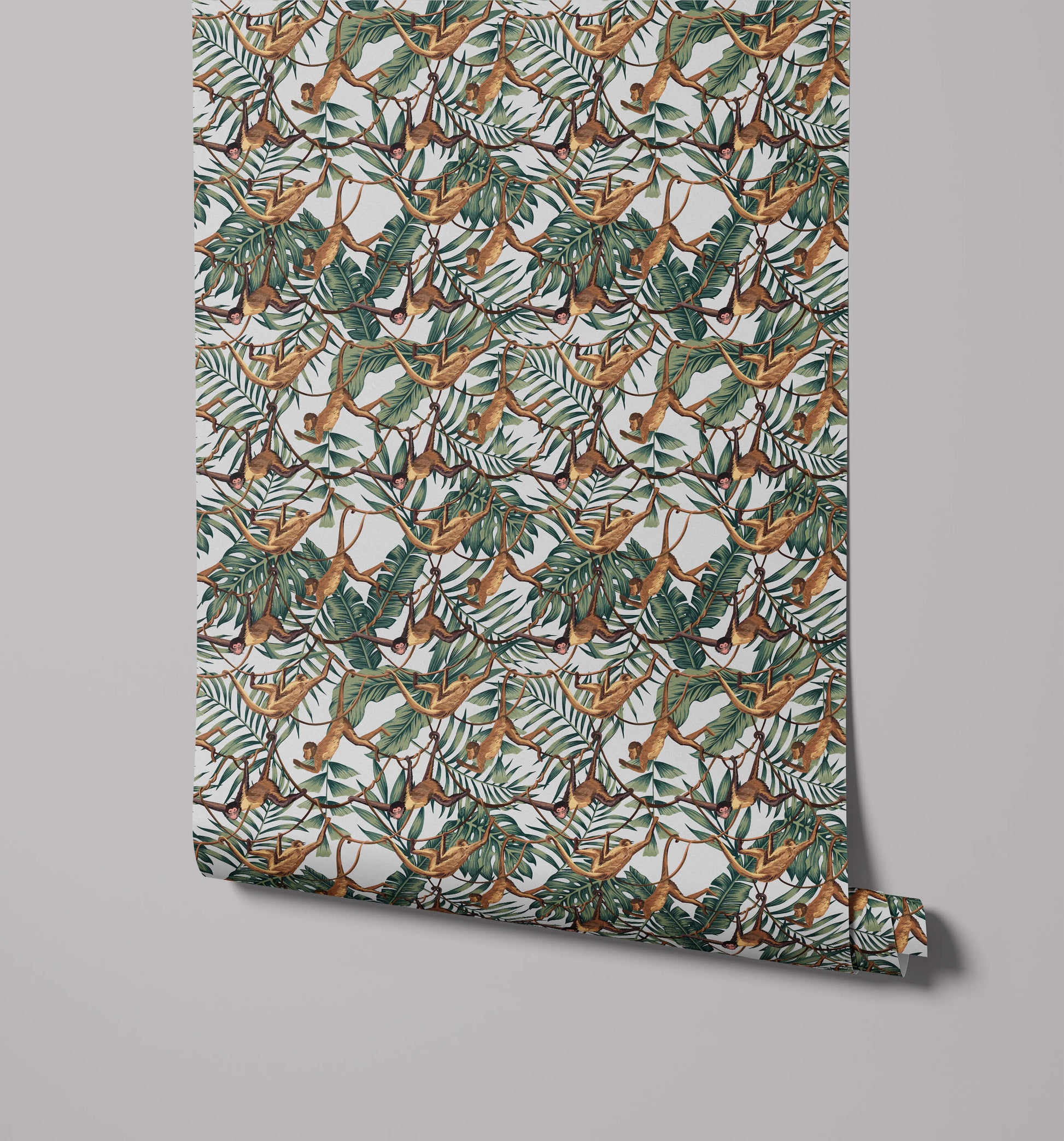 Bradley Monkey Wallpaper