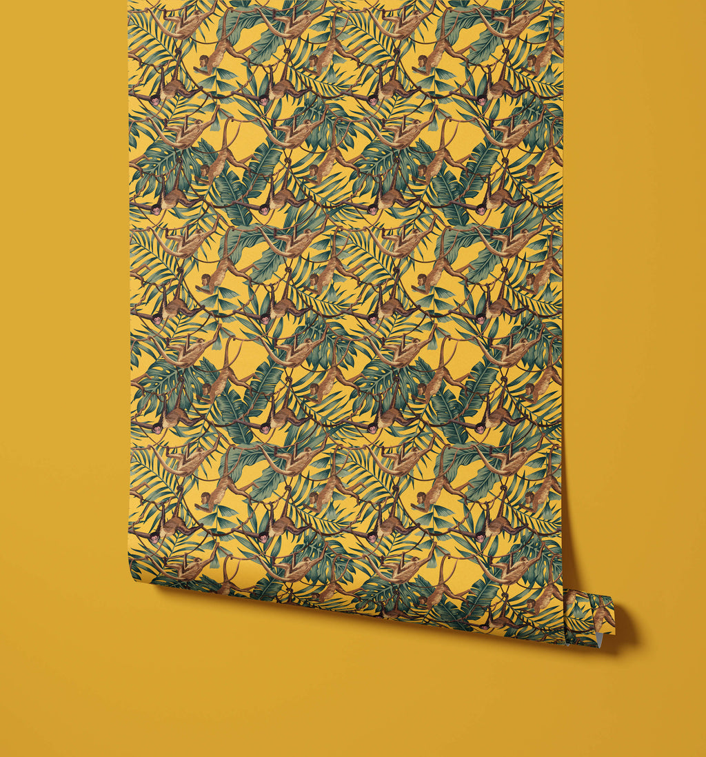 Bradley Monkey Wallpaper