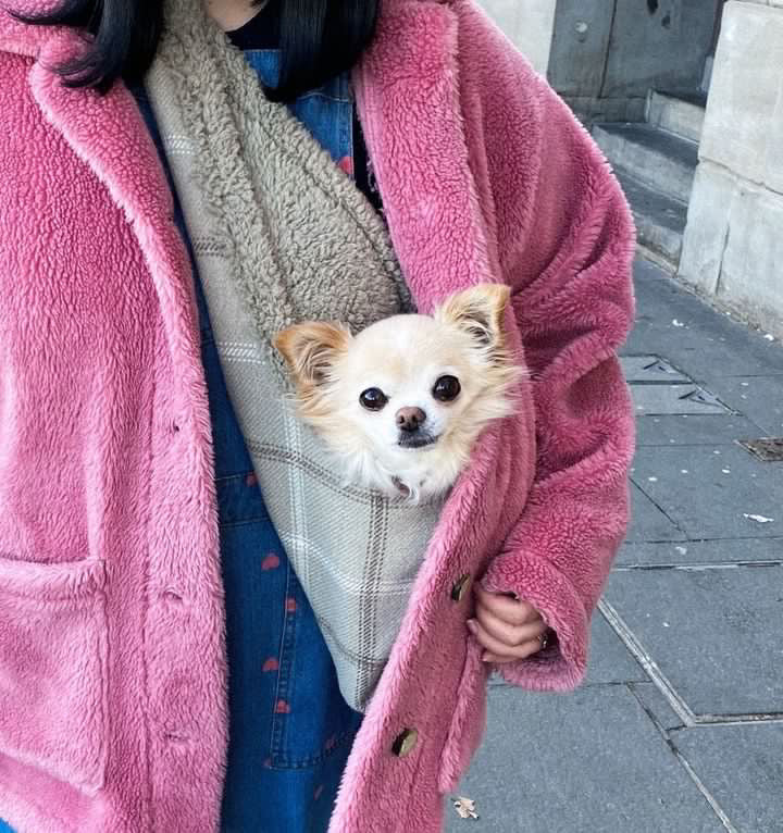 Handcrafted Luxury Puppy and Small Dog Carrier Sling