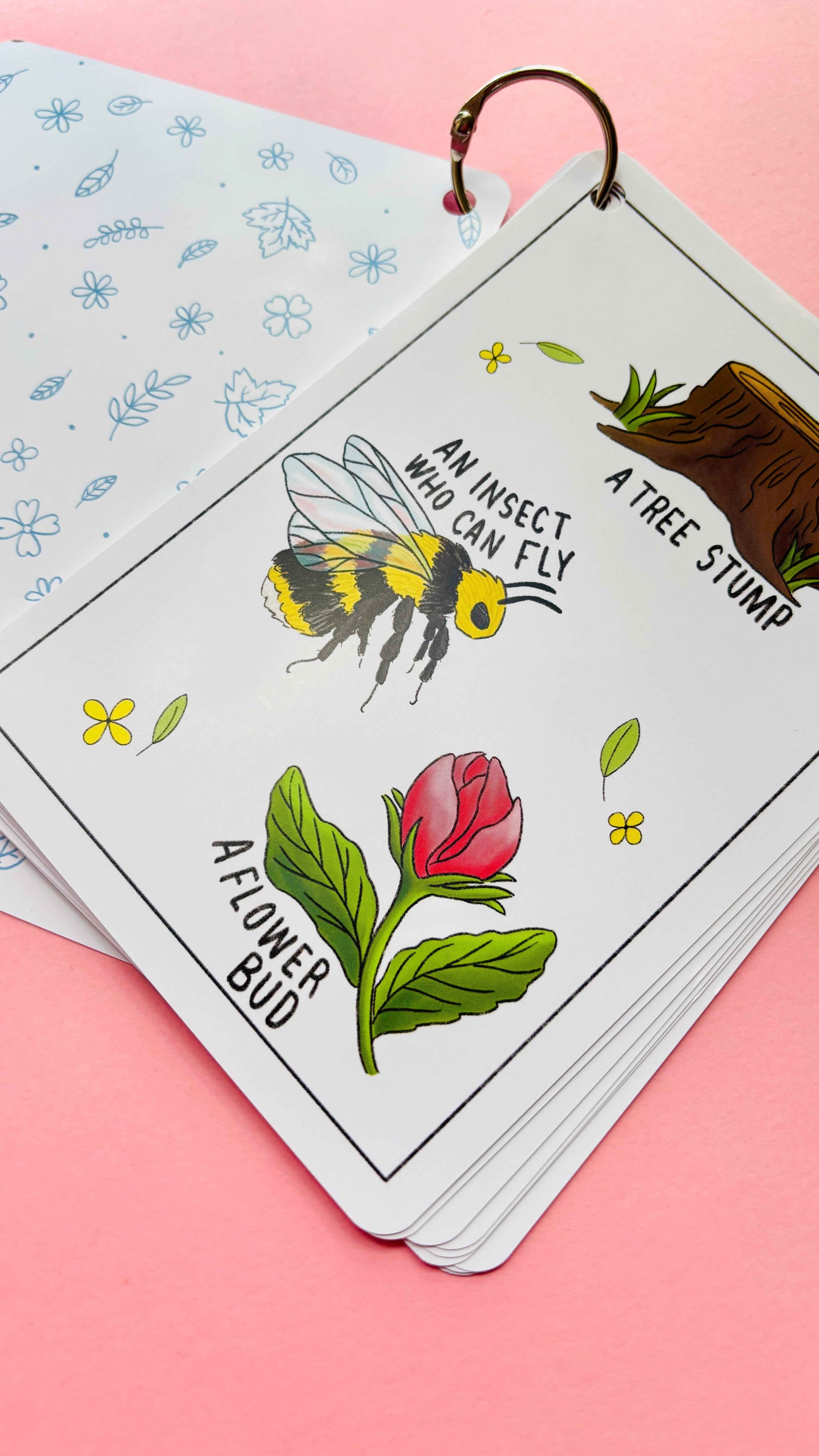 Nature Explorer Scavenger Hunt Cards Illustrated Educational Activity