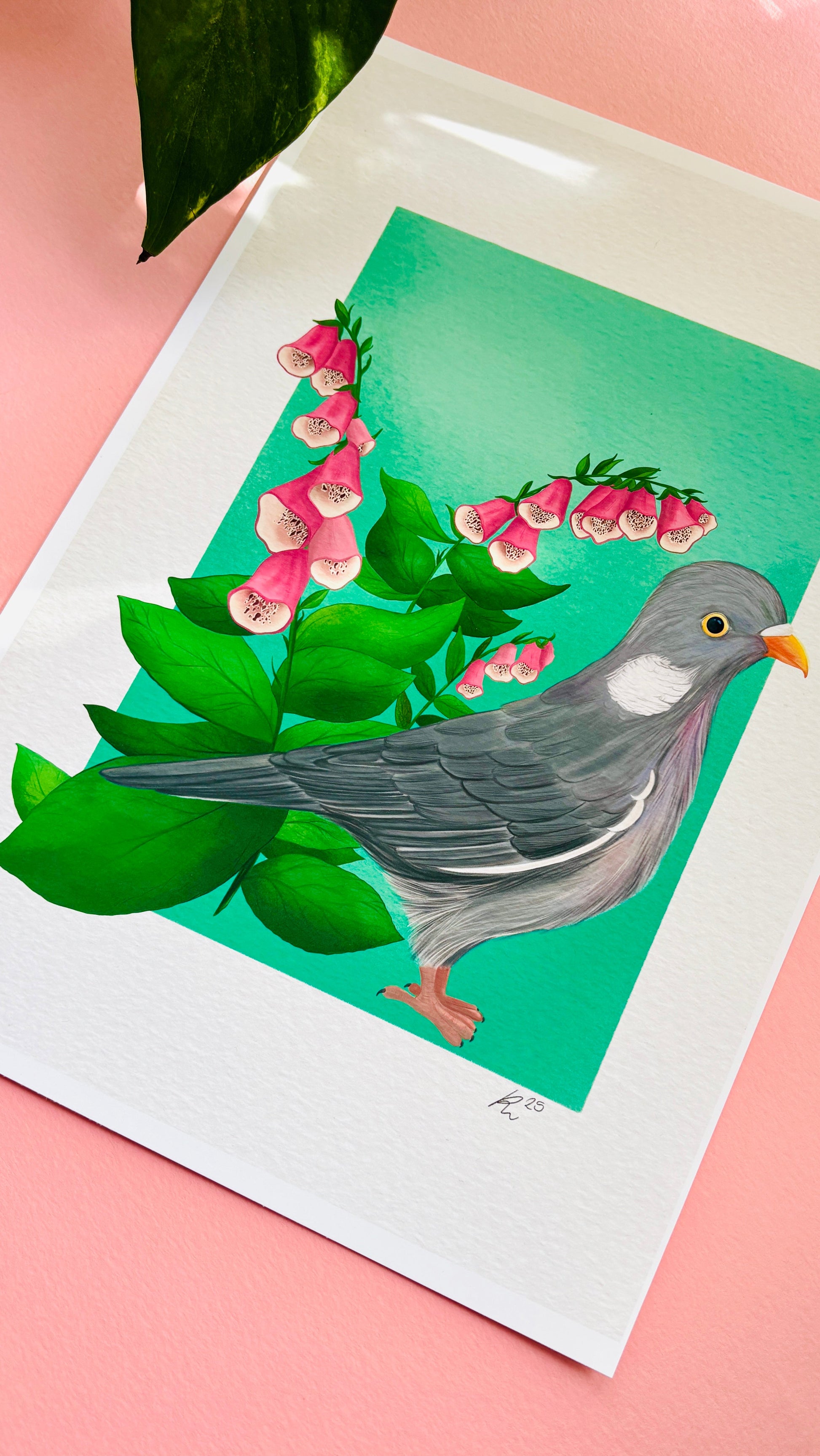 Wood Pigeon and Foxglove Art Print British Wildlife Illustration