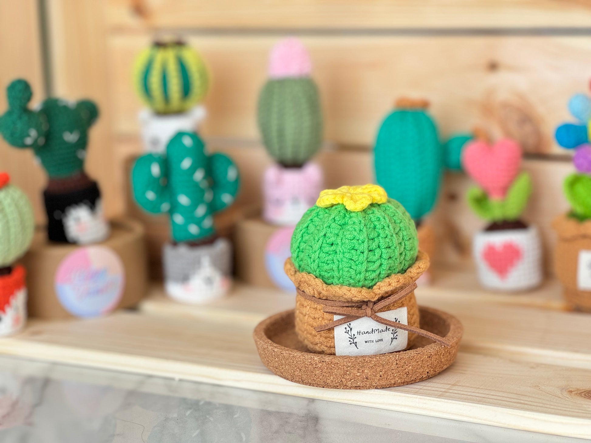 Handmade Crochet Cactus Family Collection Five New Friends