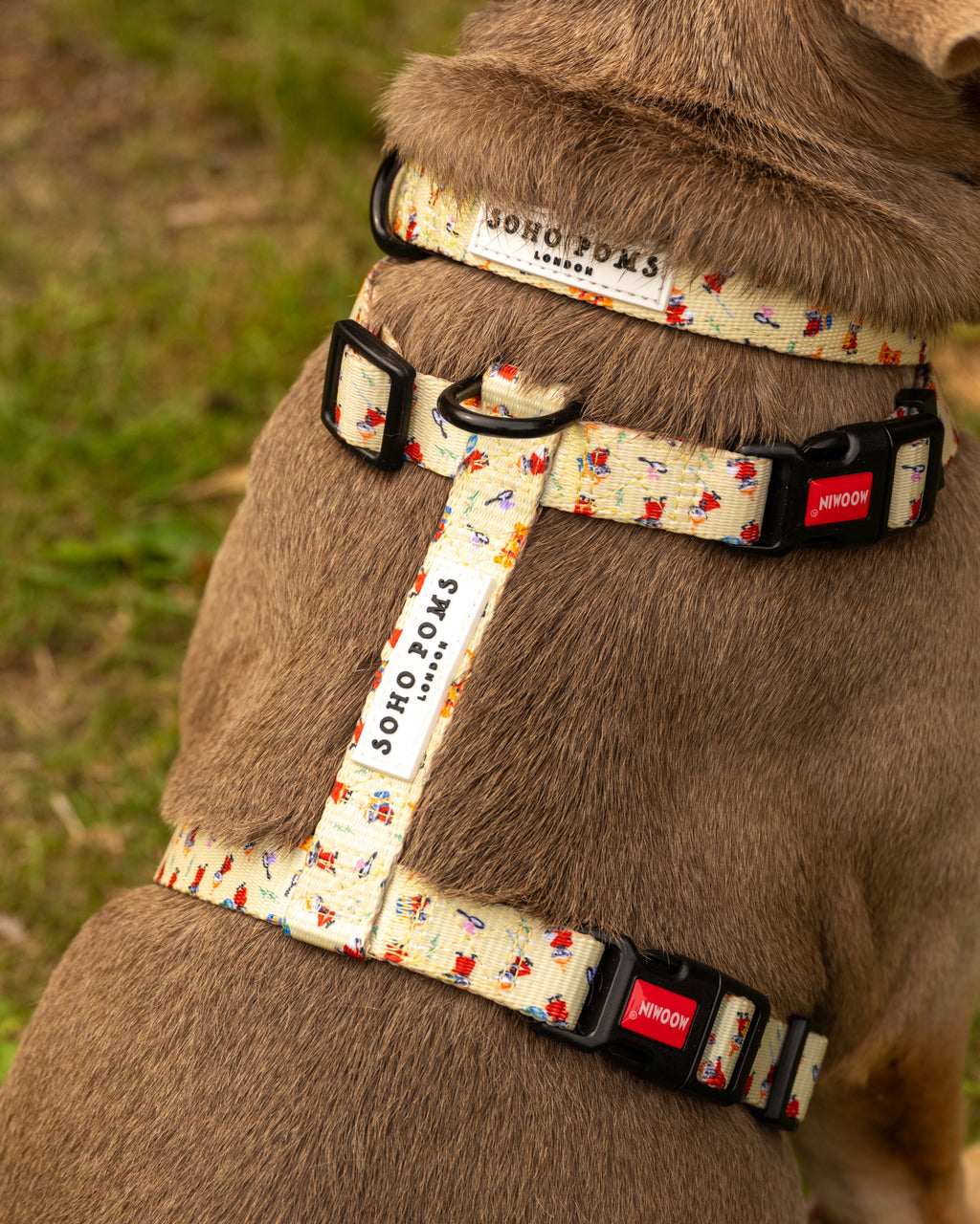 Yellow Sunrise Dogs H-Harness
