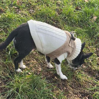 Step In Soft Touch Suede Faux Fur Lined Puppy and Small Dog Harness Caramel