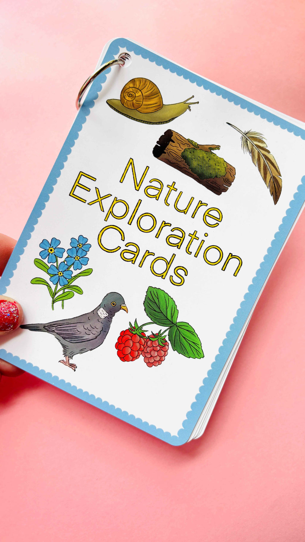 Nature Explorer Scavenger Hunt Cards Illustrated Educational Activity