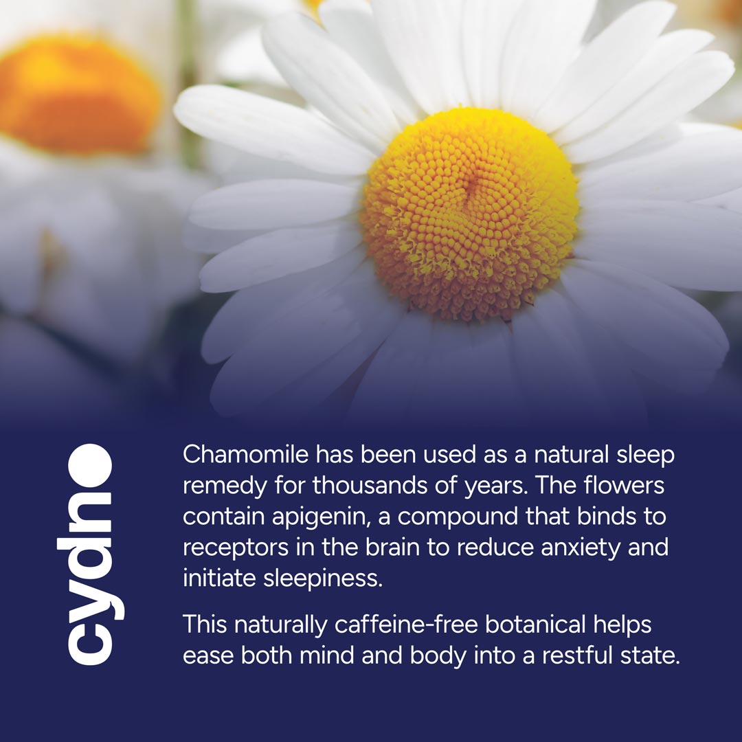 Whole Flower Chamomile Tea