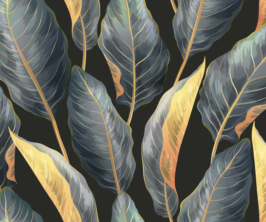Calathea Prayer Plant Wallpaper