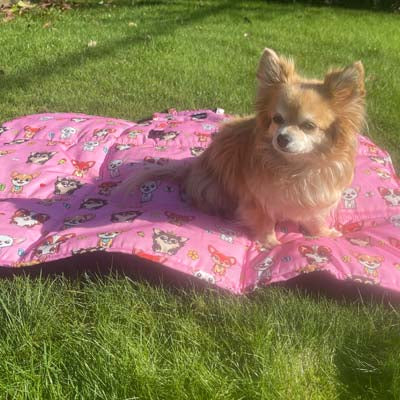 Roll and Go Signature Pink Padded Chihuahua Print Travel Mat