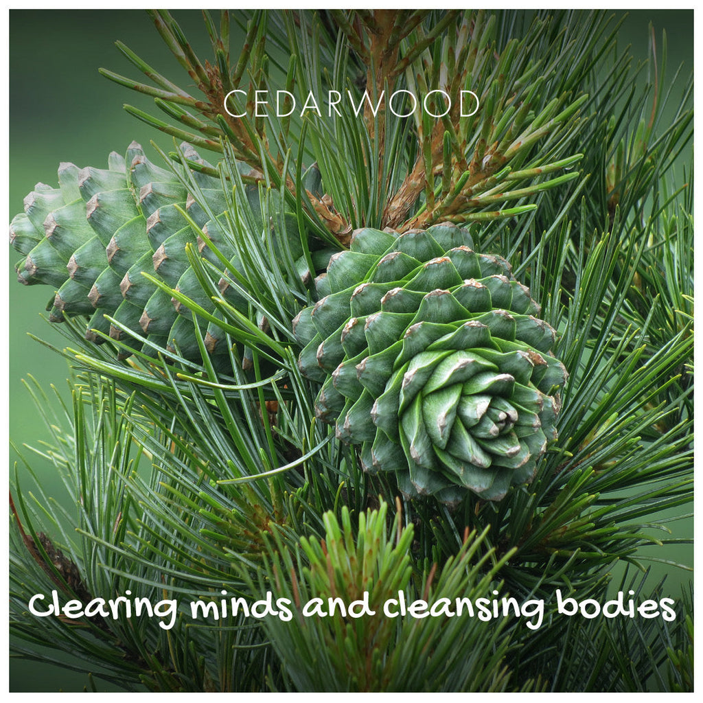 Cedarwood Natural Soap Bar