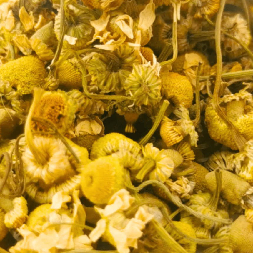 Organic Chamomile Tea