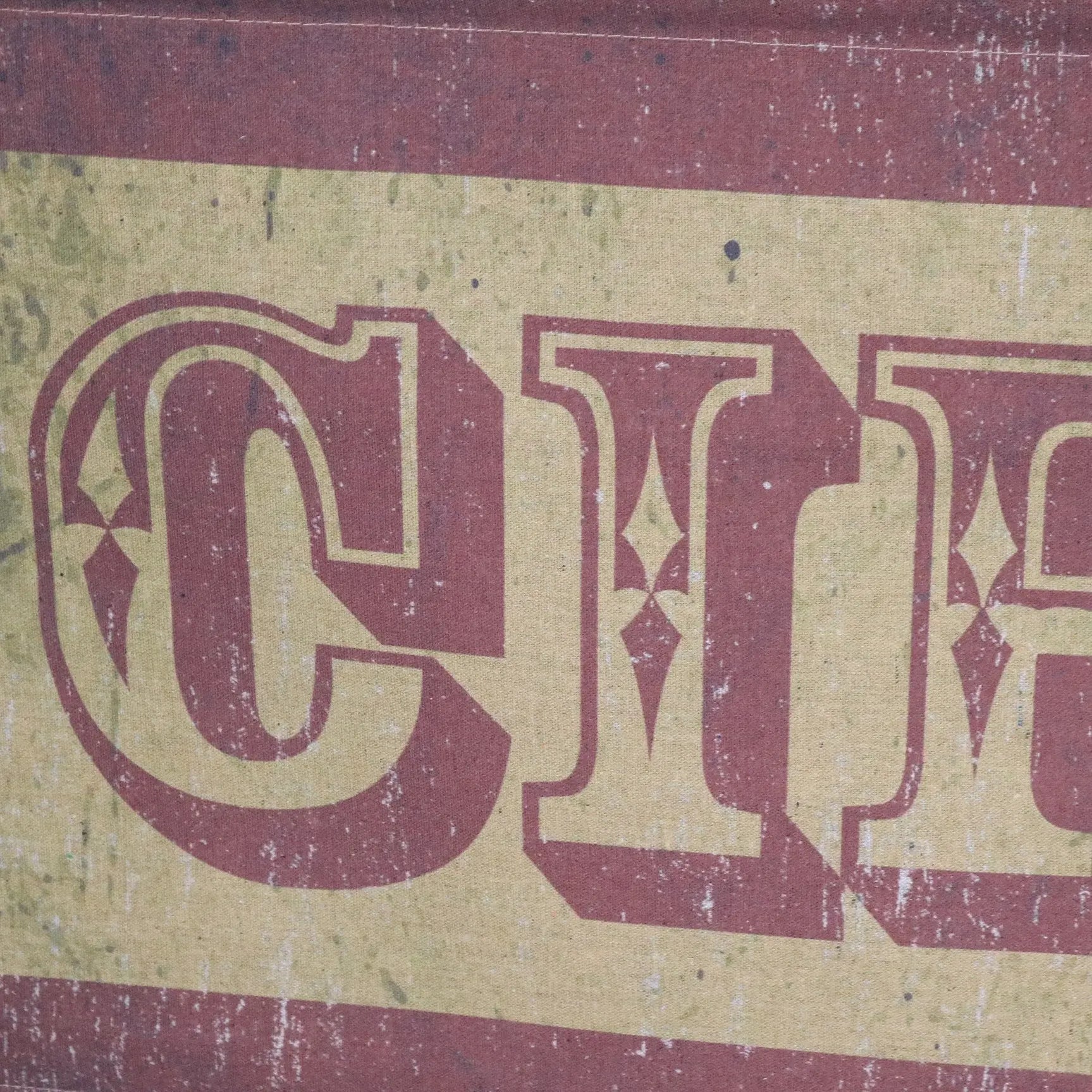 Vintage Circus Sign Canvas Wall Art with Wooden Scroll