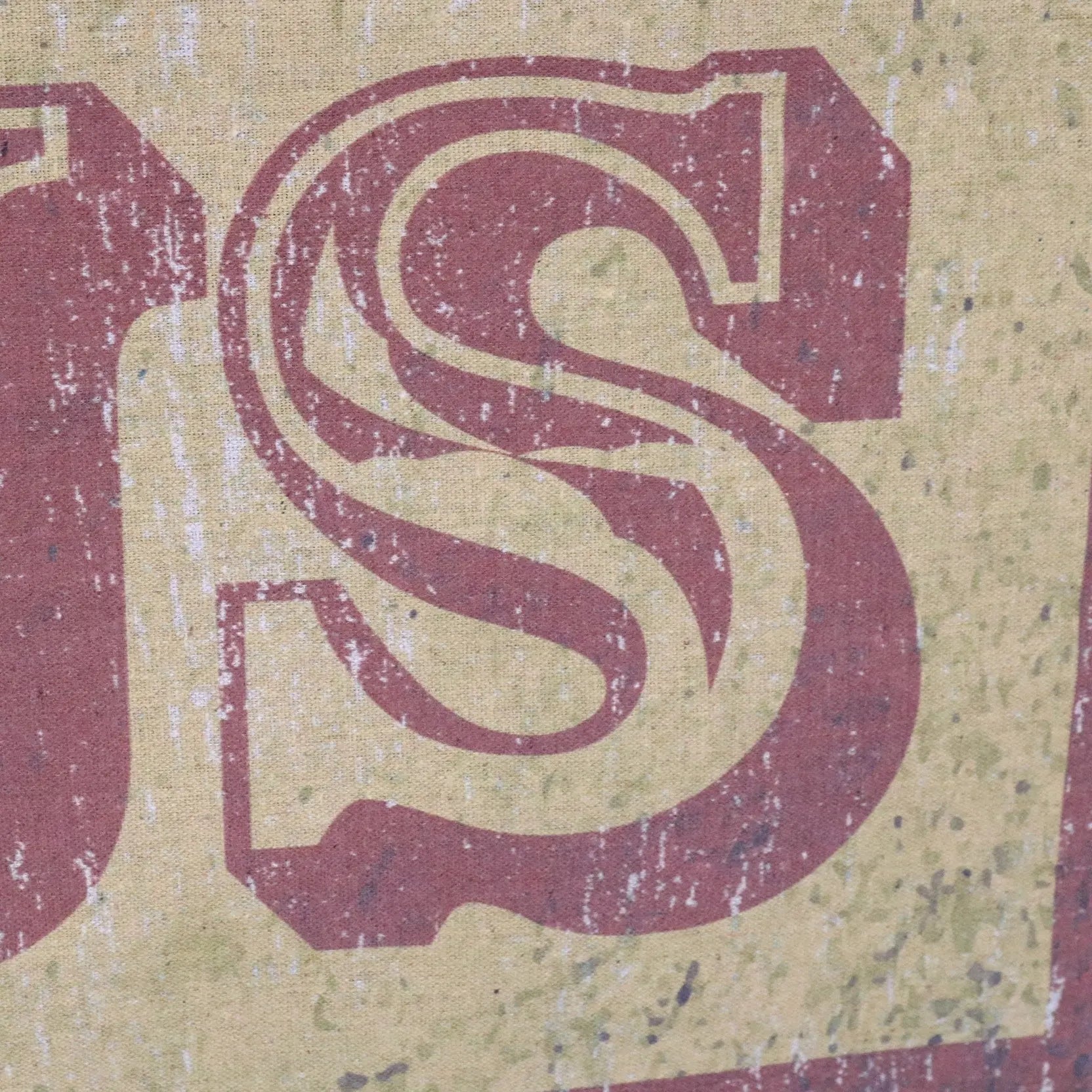 Vintage Circus Sign Canvas Wall Art with Wooden Scroll