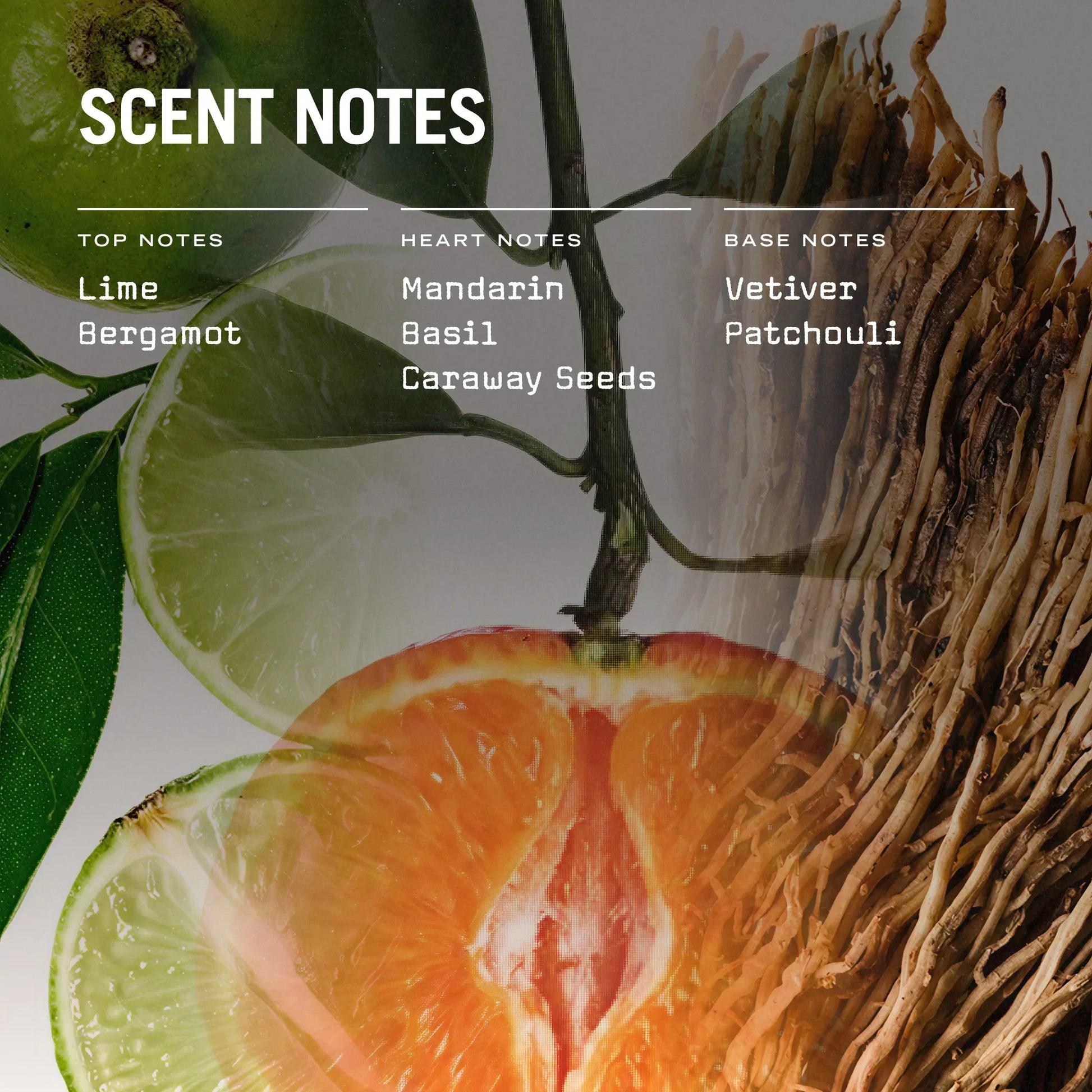 Citrico 100ml Reed Diffuser