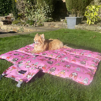 Roll and Go Signature Pink Padded Chihuahua Print Travel Mat