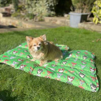 Roll and Go Signature Collection Garden Days Padded Chihuahua Print Travel Mat
