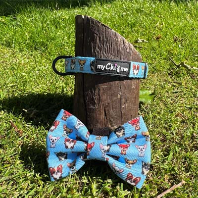 Blue Chihuahua Print Collar Extra Small