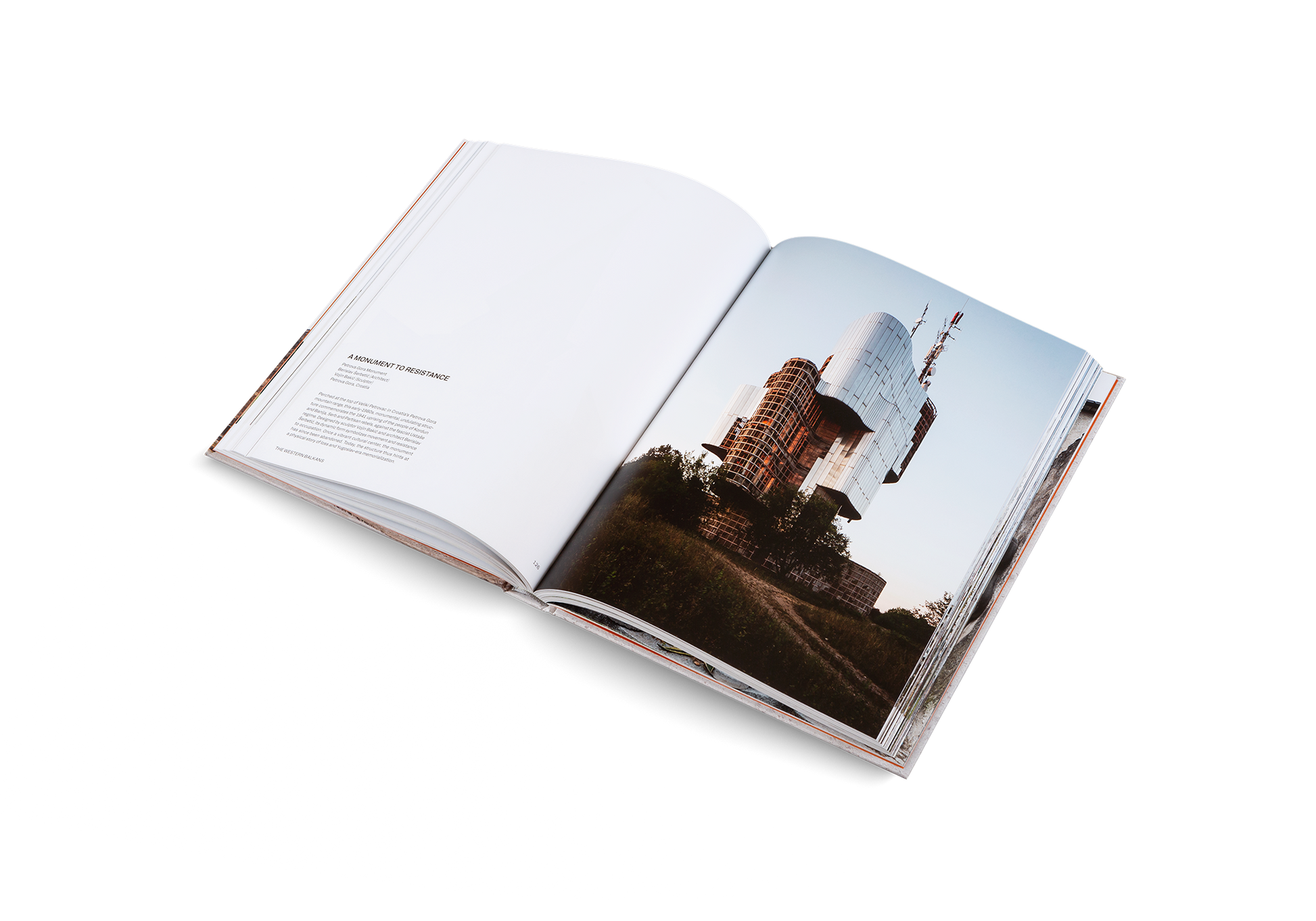 Concrete Mon Amour Raw Imprint Modernism