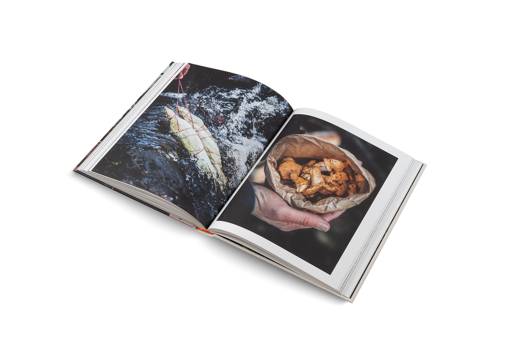 Cooking Greens on Fire Vegetarian Recipes for Dutch Oven and Grill