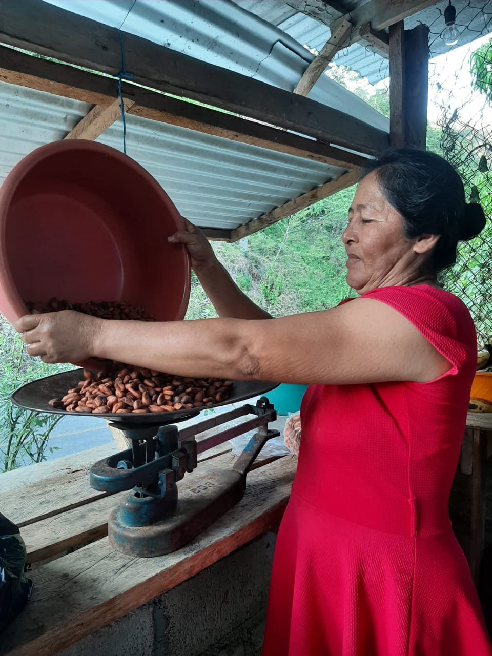 Mexican Ceremonial Cacao Lavado Block