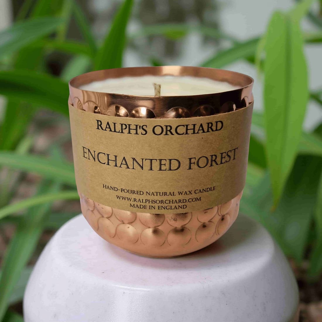 Enchanted Forest Pine Scented Candle