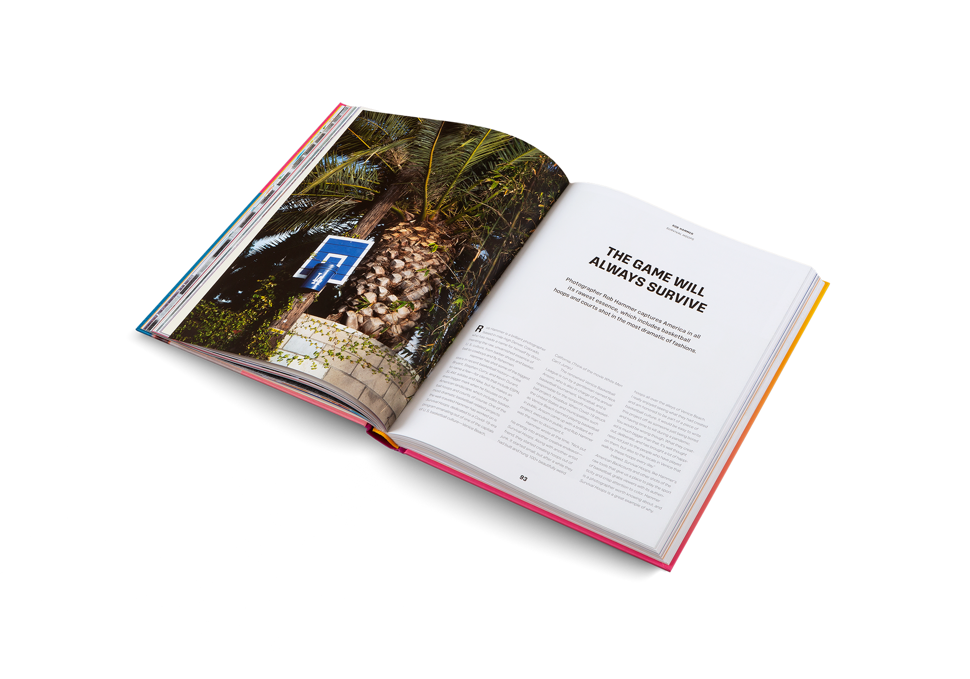 Courtside Candy Basketball Culture Collection