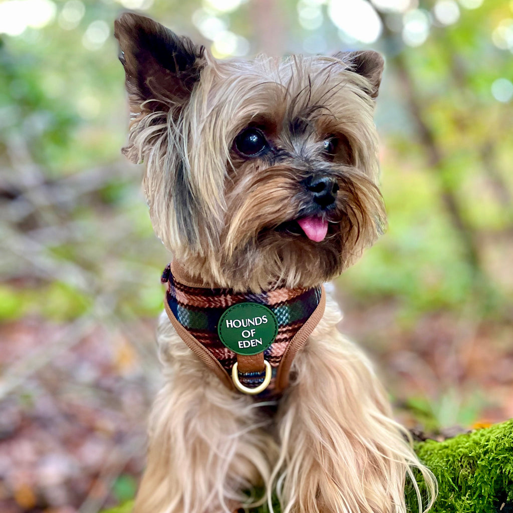 Oak Forest Plaid Dog Harness for Small Breeds