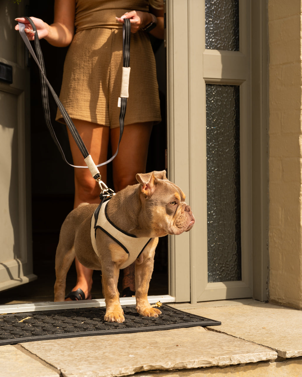 Mayfair Cream Dog Harness