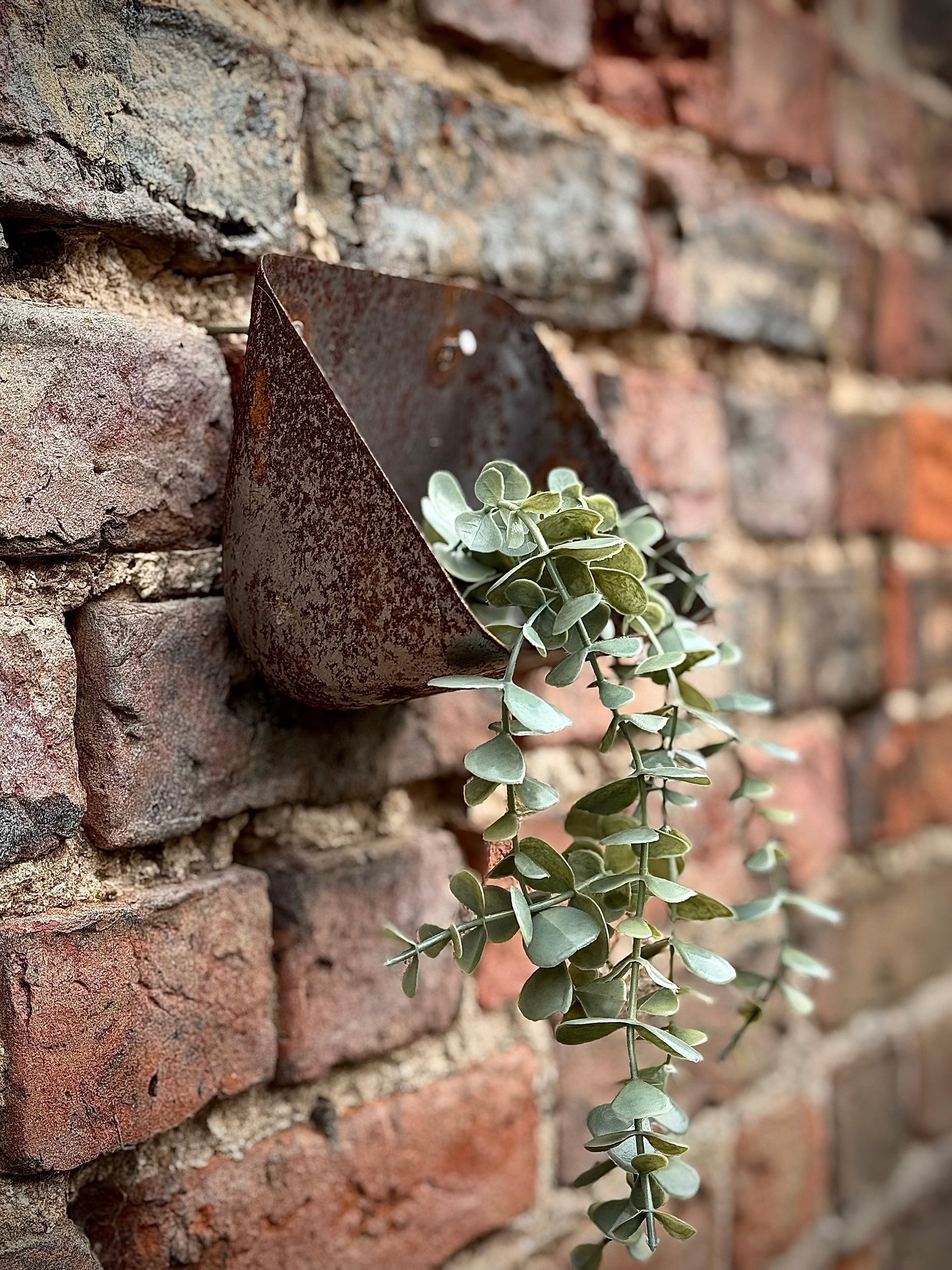 Vintage Rusty Metal Wall Mounted Planter and Key Holder