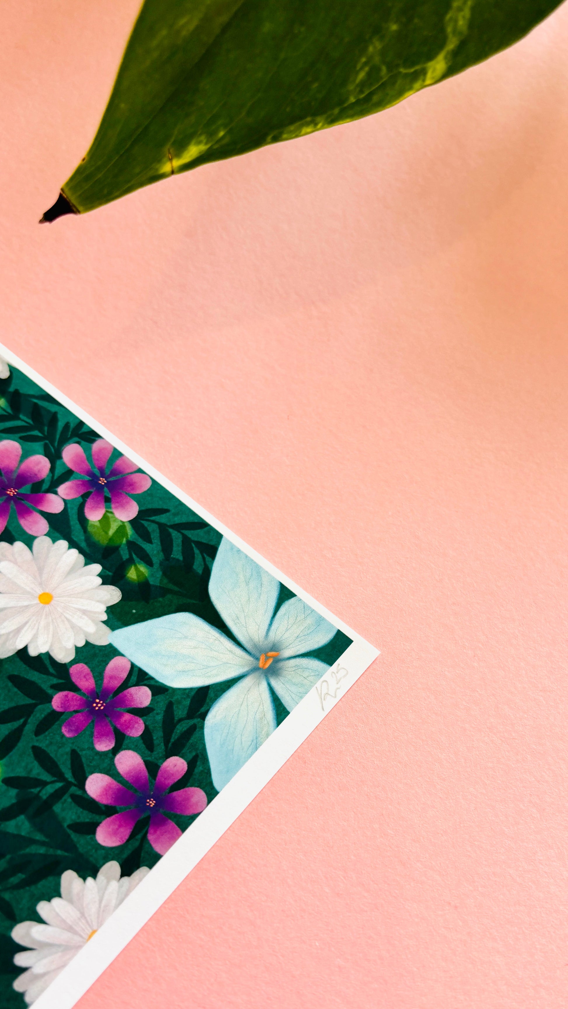 Butterfly and Wildflower Art Print