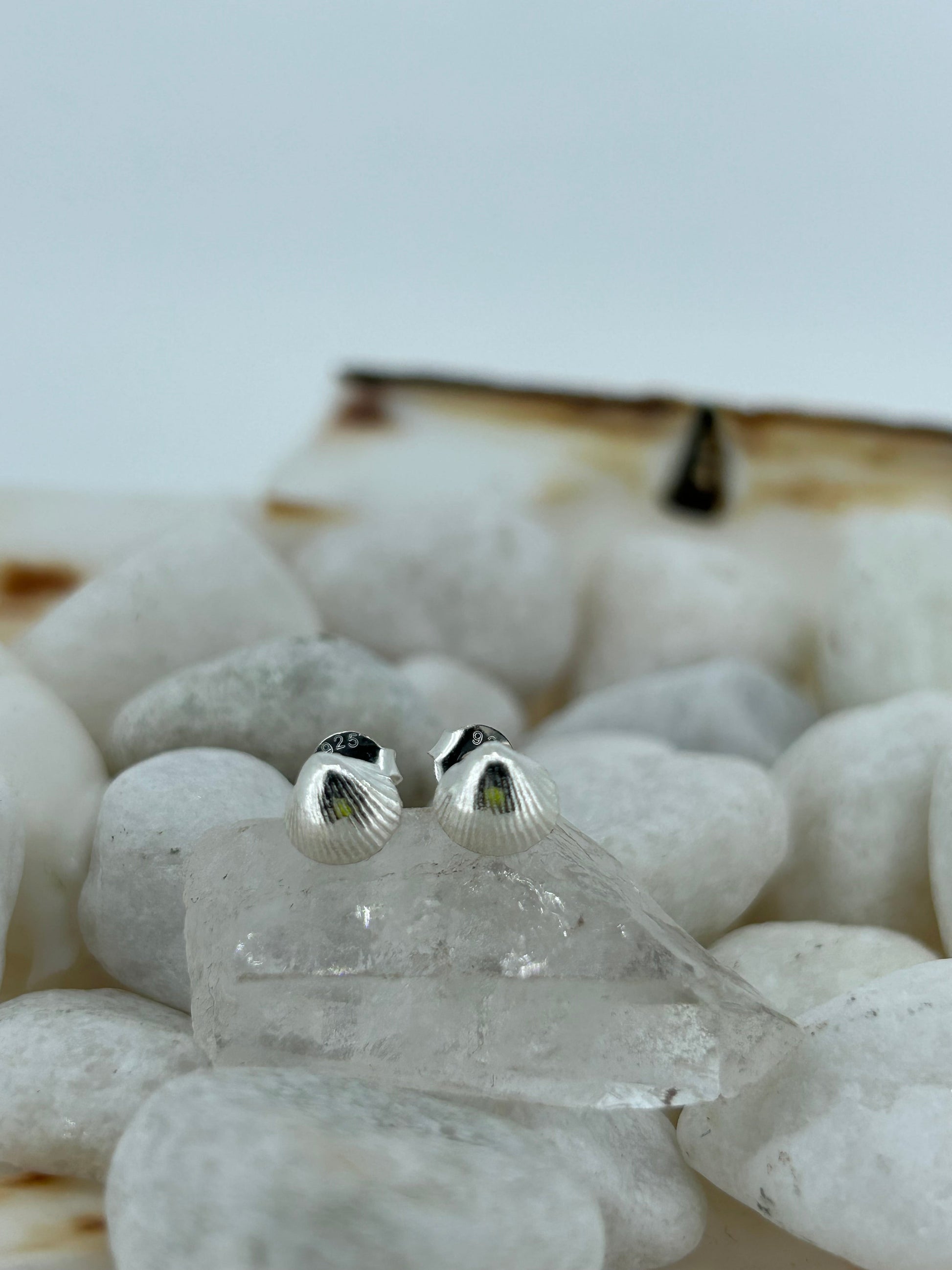 Mini Shell Studs in Sterling Silver