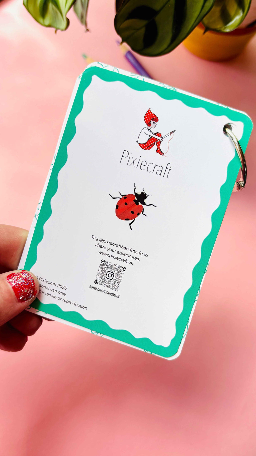 Garden Bugs Illustrated Identification Cards