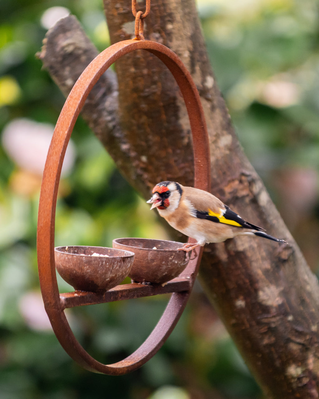 Double Hanging Metal Bird Feeder Ring