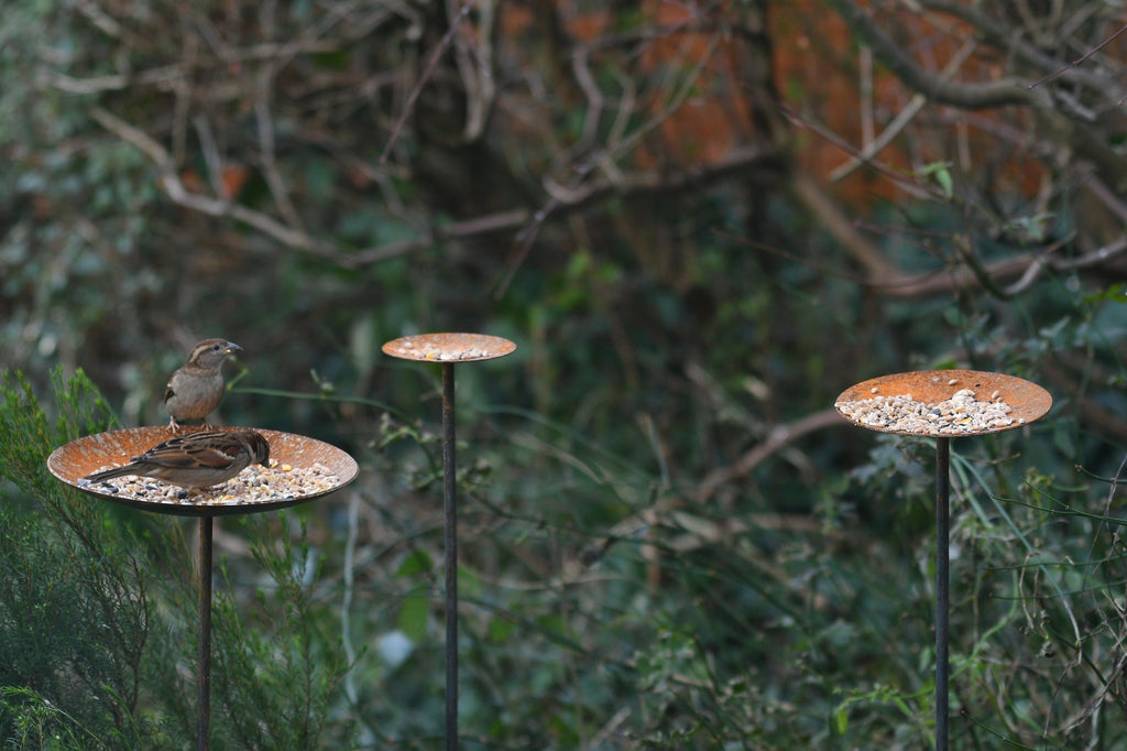 Metal Bird Feeding Platform