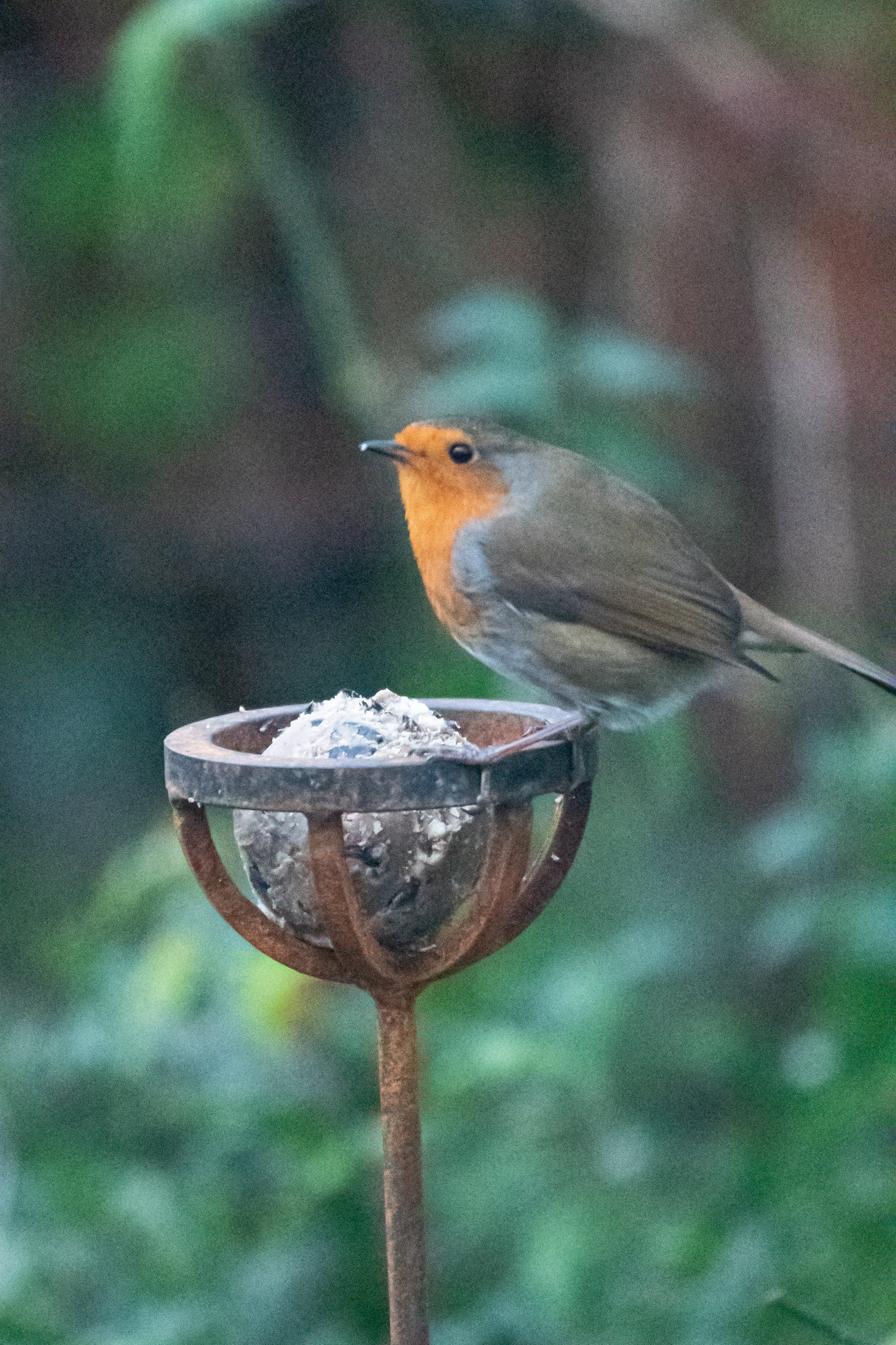 Fat Ball Bird Feeder Stake