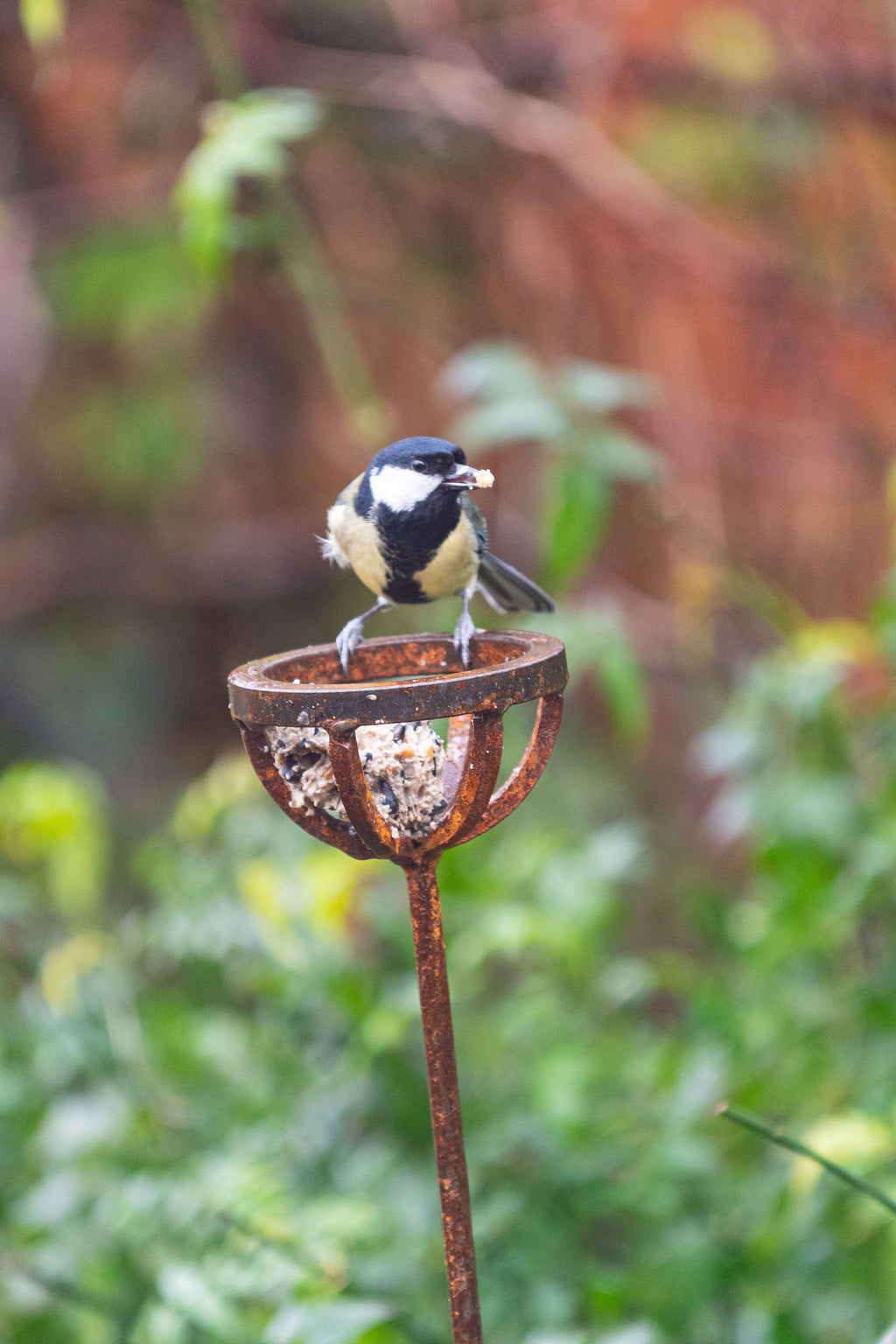 Fat Ball Bird Feeder Stake