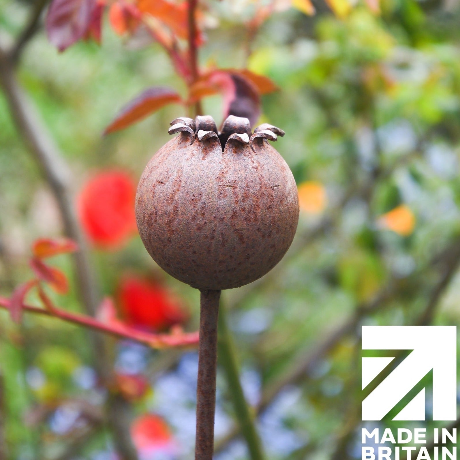 Rusty Metal Poppy Seedhead