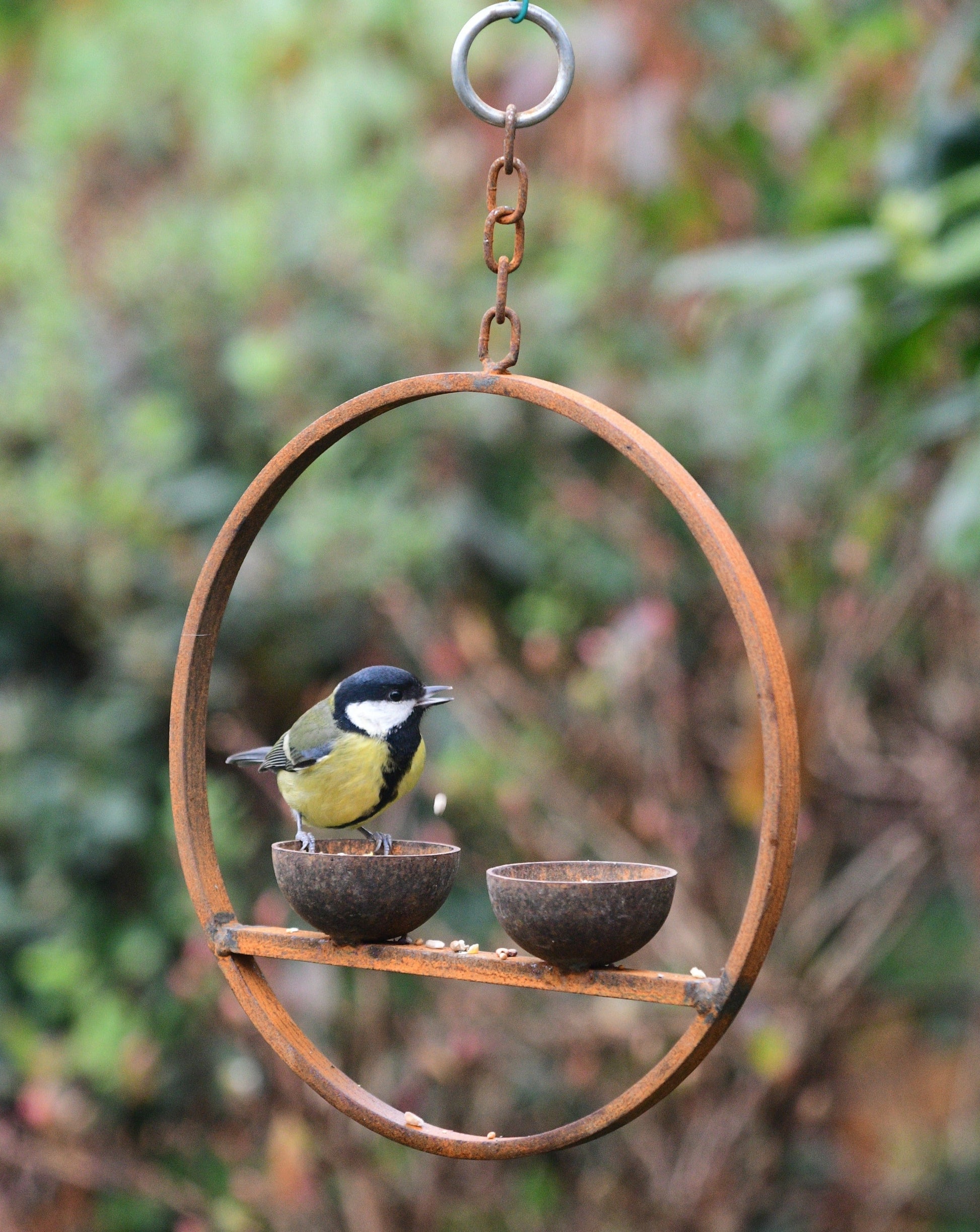 Double Hanging Metal Bird Feeder Ring