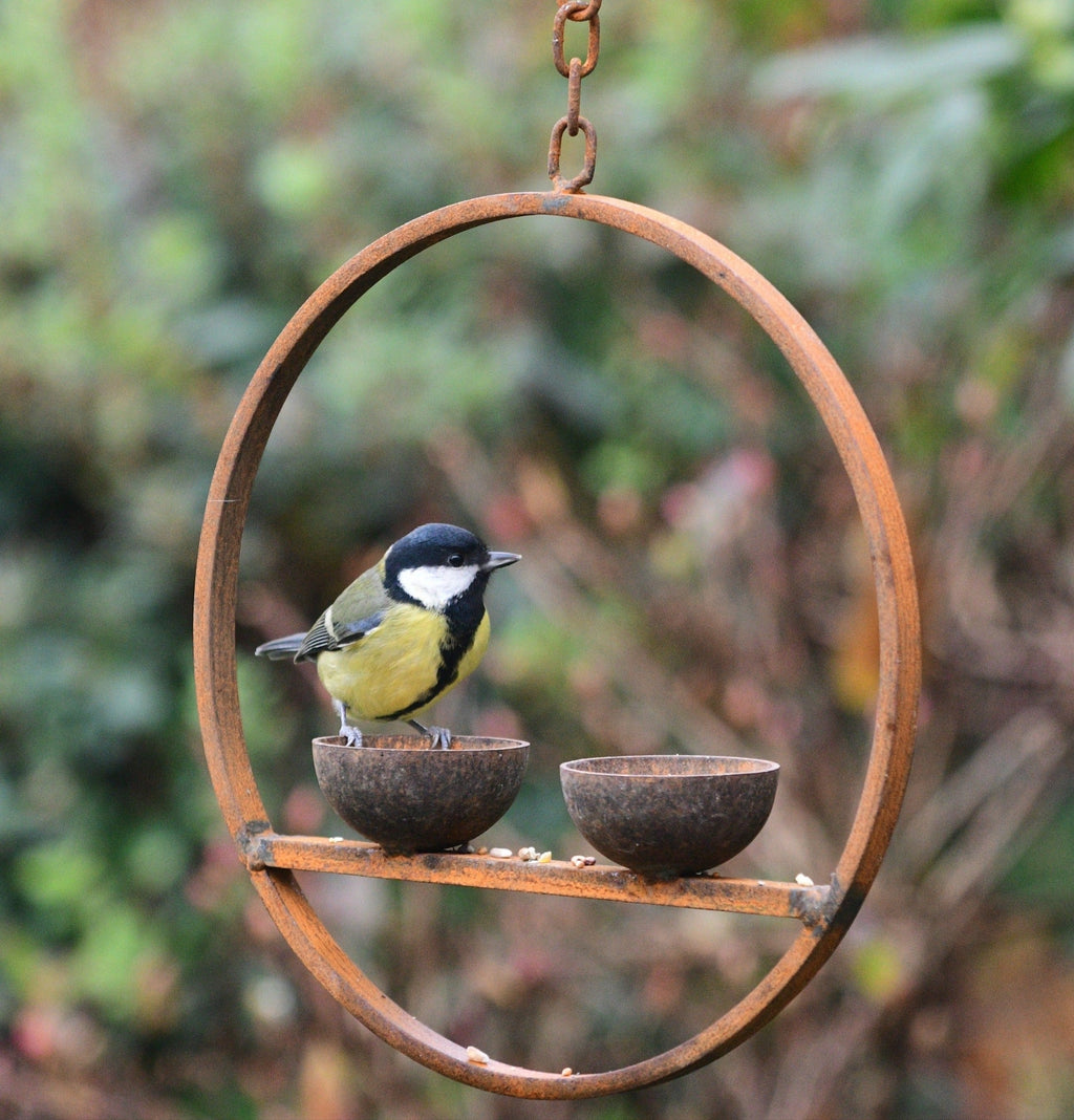 Double Hanging Metal Bird Feeder Ring