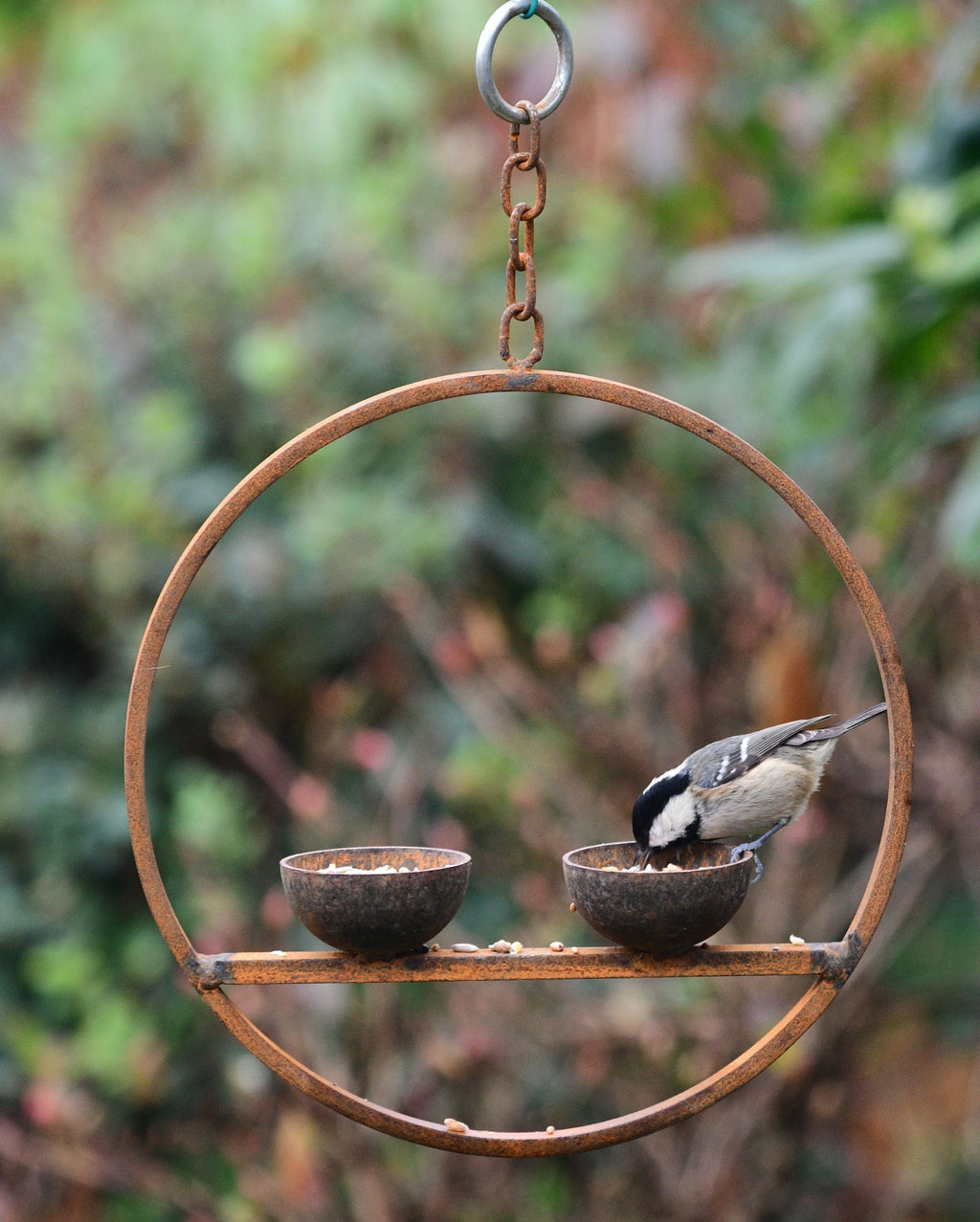 Double Hanging Metal Bird Feeder Ring