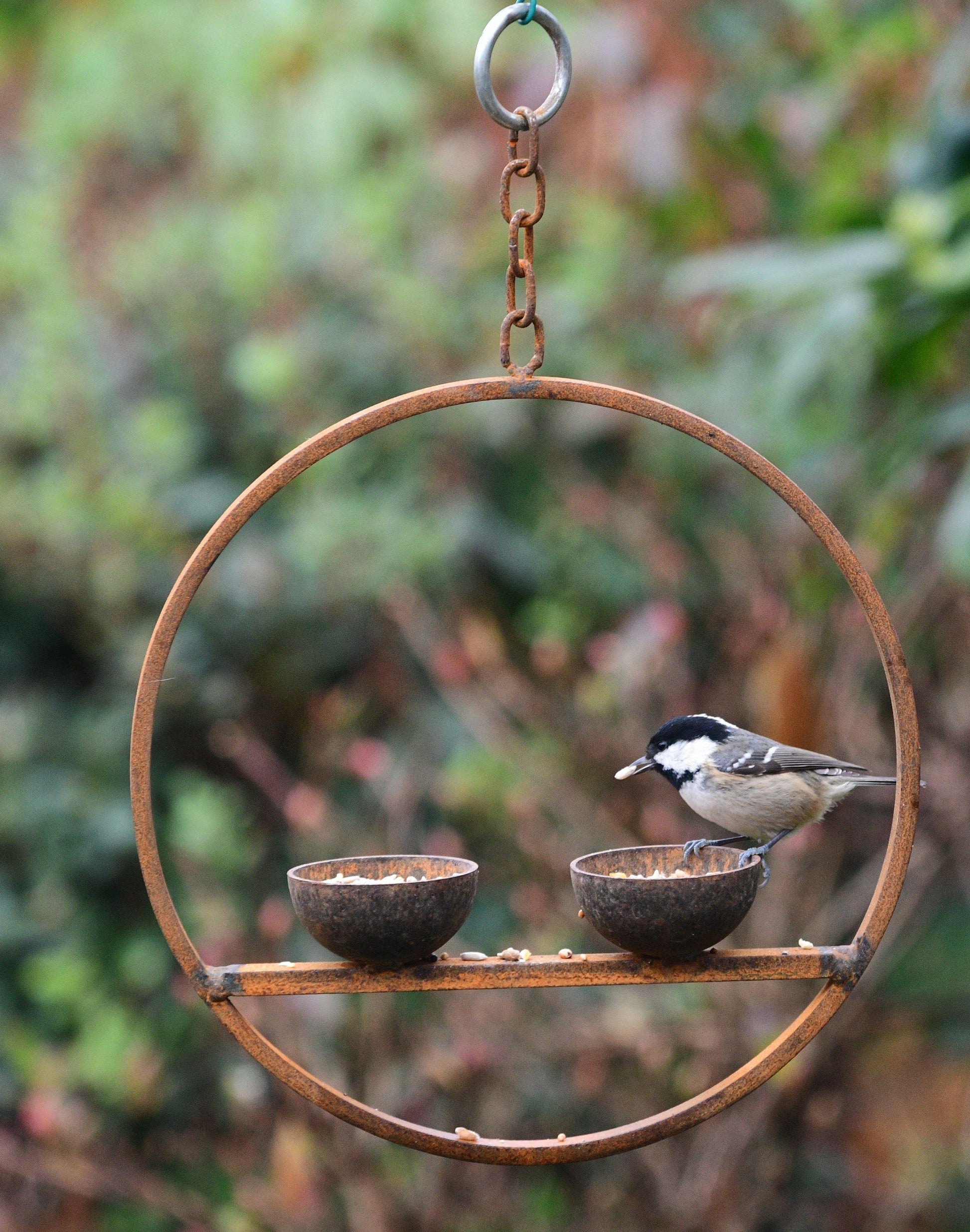 Double Hanging Metal Bird Feeder Ring