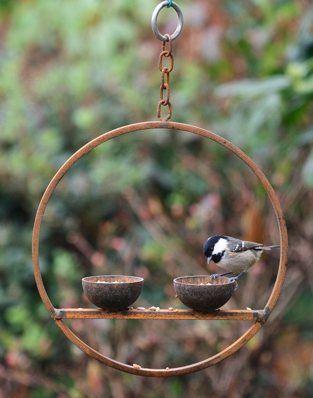 Double Hanging Metal Bird Feeder Ring