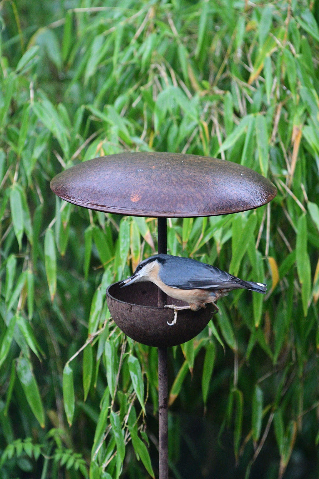 Rusty Metal Bird Feeding Stake