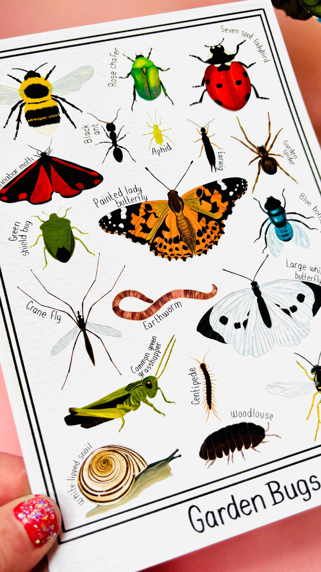 Garden Bug Wall Art Print Educational Nature Illustration