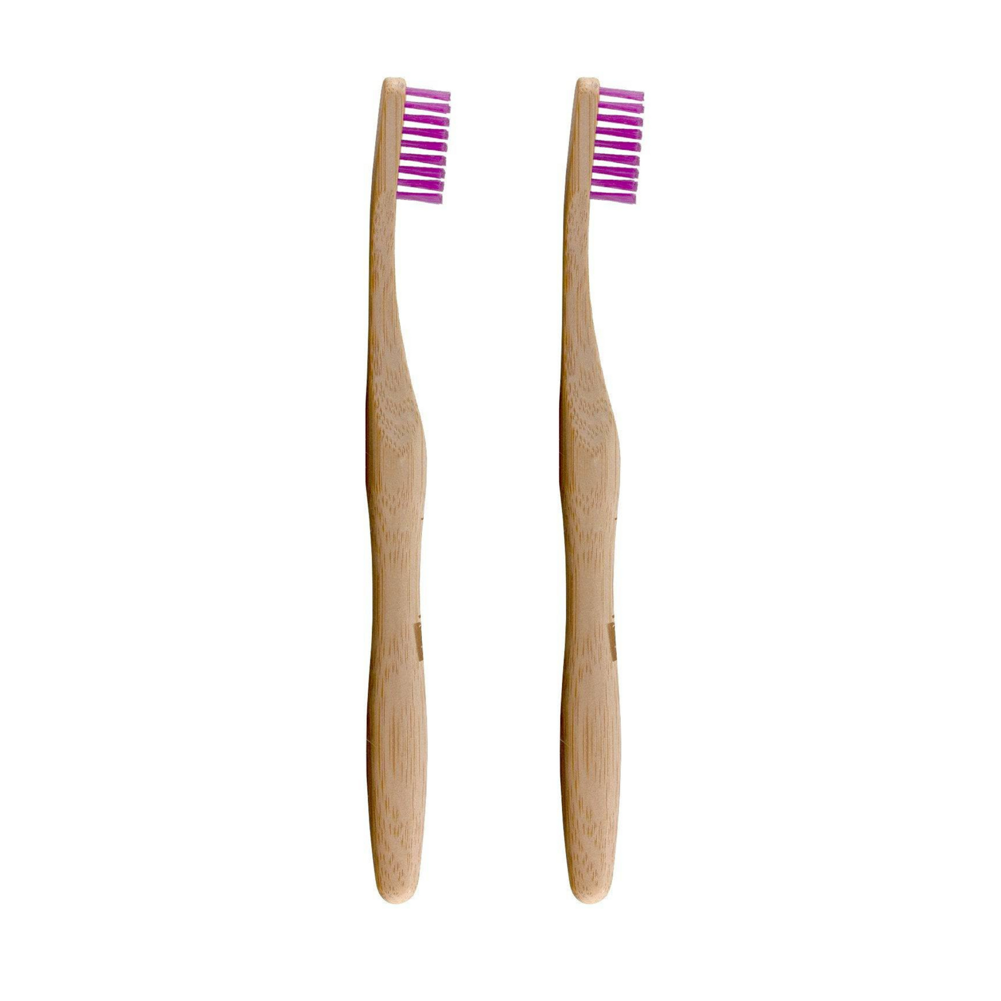 Bamboo Toothbrush Purple Twin Pack