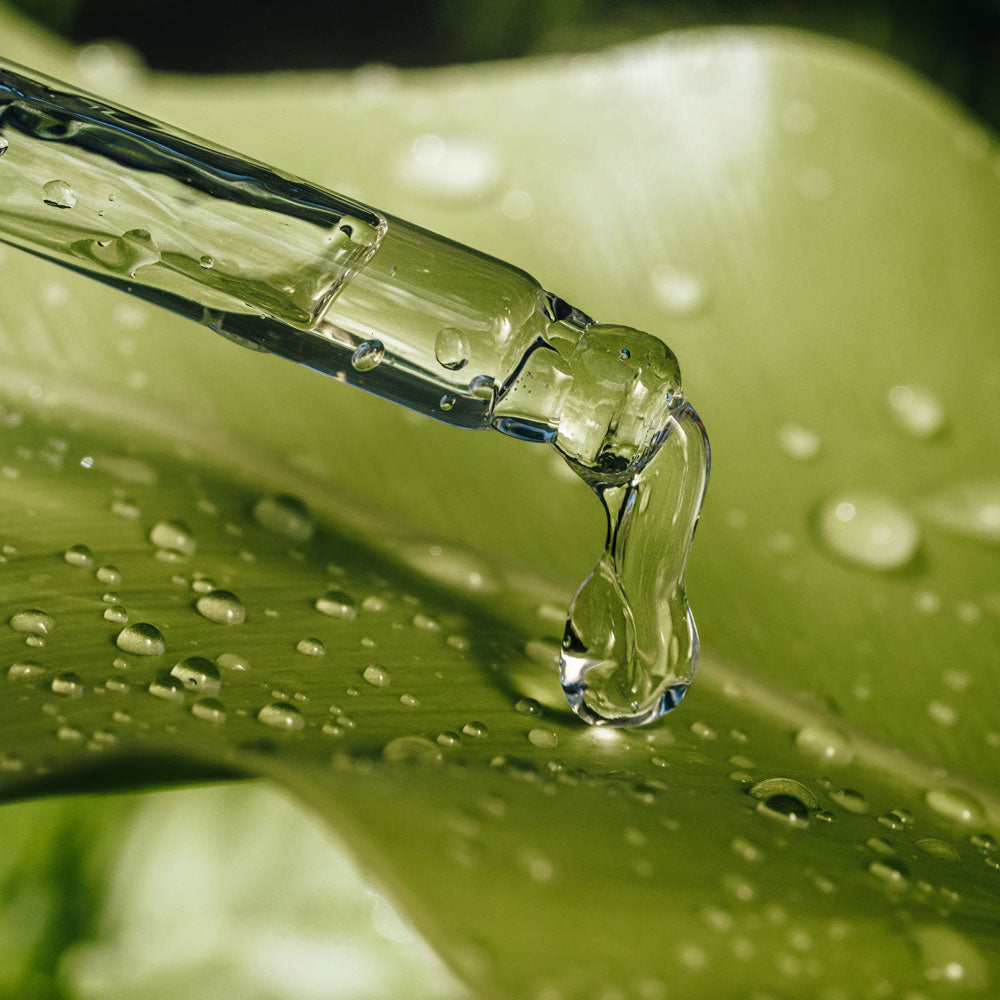 Palmarose Essential Organic Oil 15ml