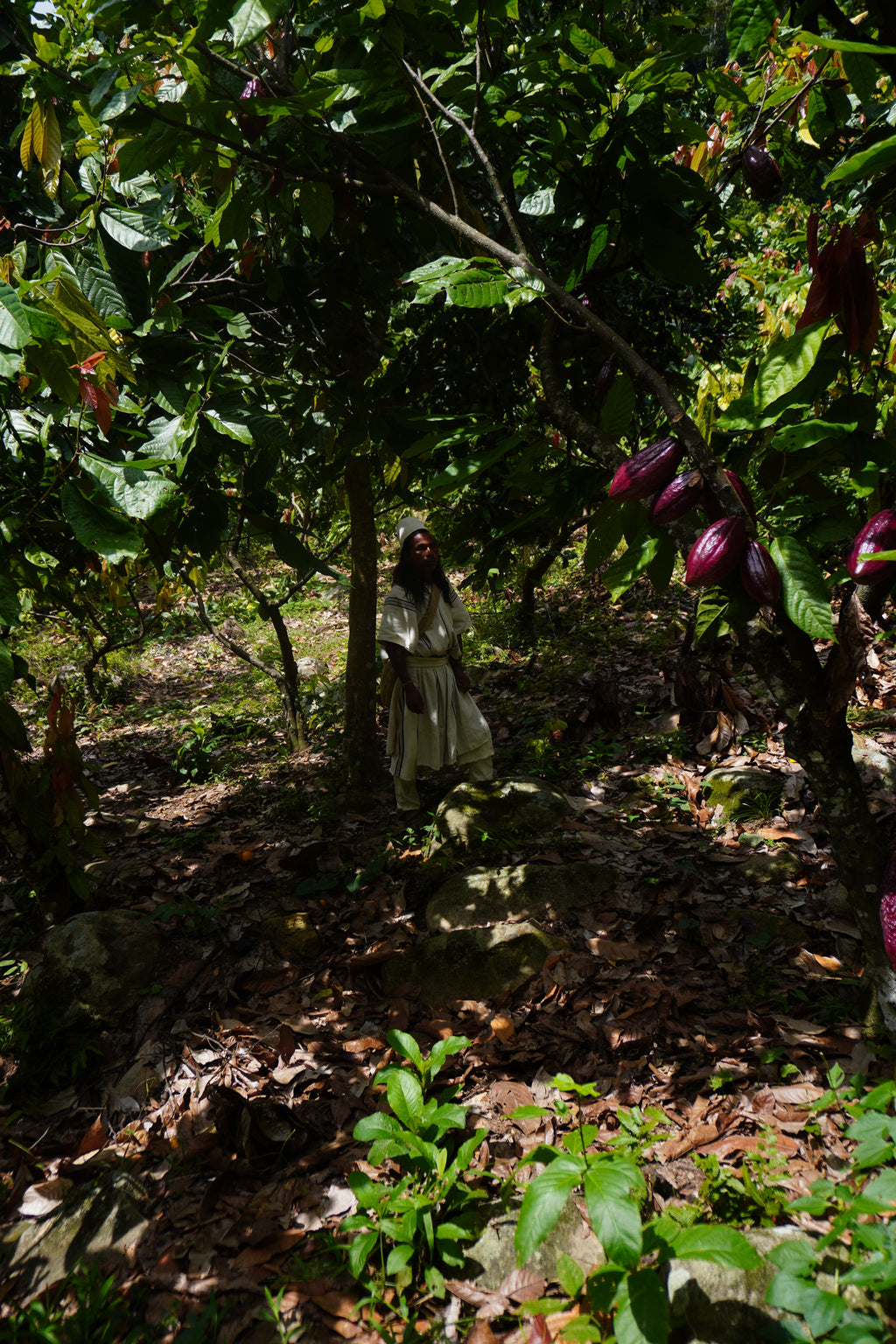 Ceremonial Cacao Granules from Colombia