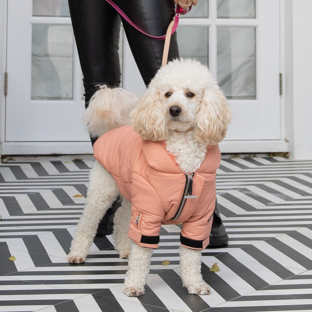 Faux Fur Zip Up Puffer Ski Jacket with Hood
